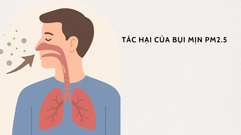 Ảnh hưởng của PM2.5 đến sức khỏe