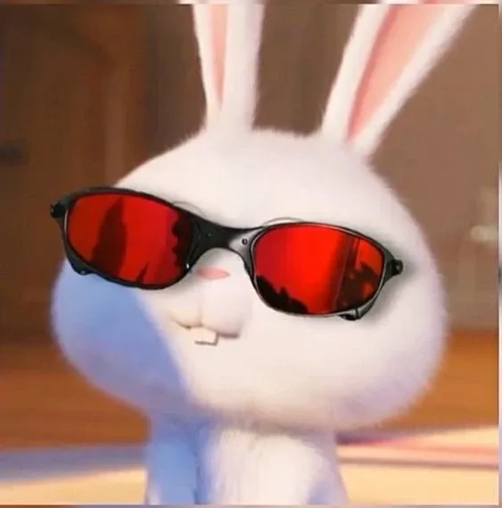 Thỏ snowball meme biểu cảm hài hước rất dễ thương