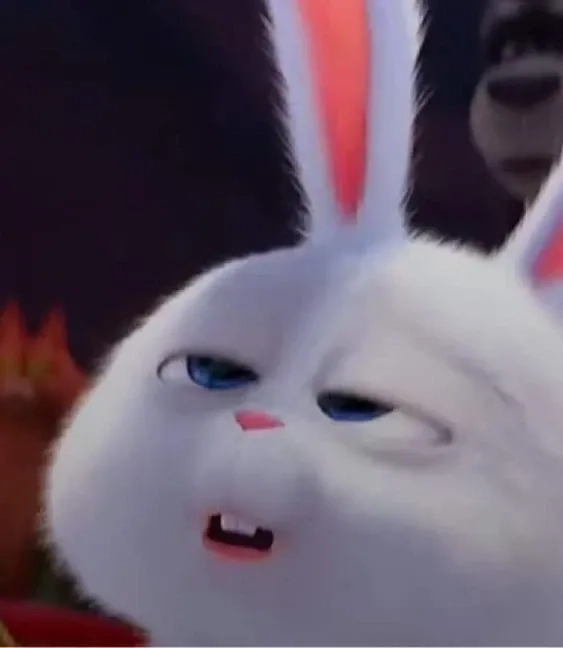 Thỏ snowball dễ thương gây sốt cộng đồng mạng