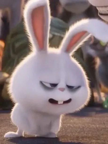 Thỏ snowball buồn với biểu cảm dễ đồng cảm