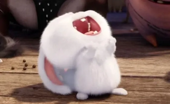 Thỏ snowball gấu bông chính hãng được săn đón