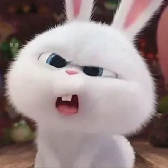 Thỏ snowball khóc biểu cảm buồn dễ thương