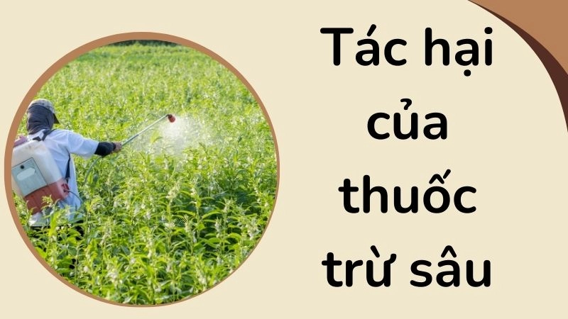Hệ lụy tiêu cực đến hệ vi sinh vật và độ phì của đất