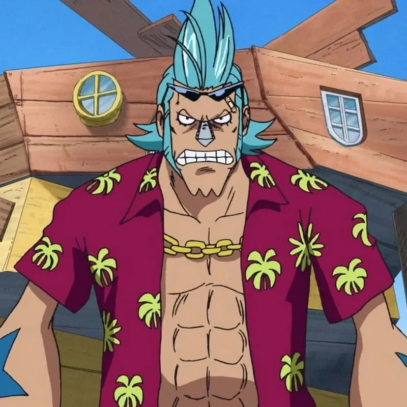 Cười nghiêng ngả với những khoảnh khắc chế ảnh franky meme one piece thú vị.